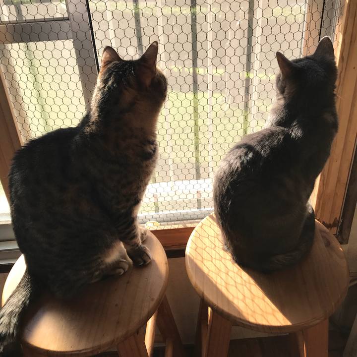 D752214f fec2 4c69 a9cb f70418b9dd4e 1540191014941