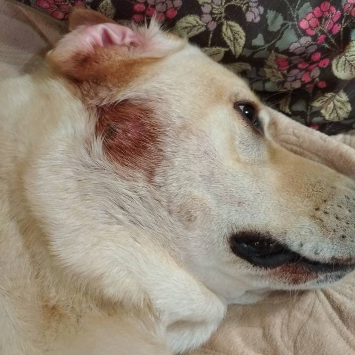 D7523566 7c08 4377 8795 7e91f1b46fb8 1572088643350