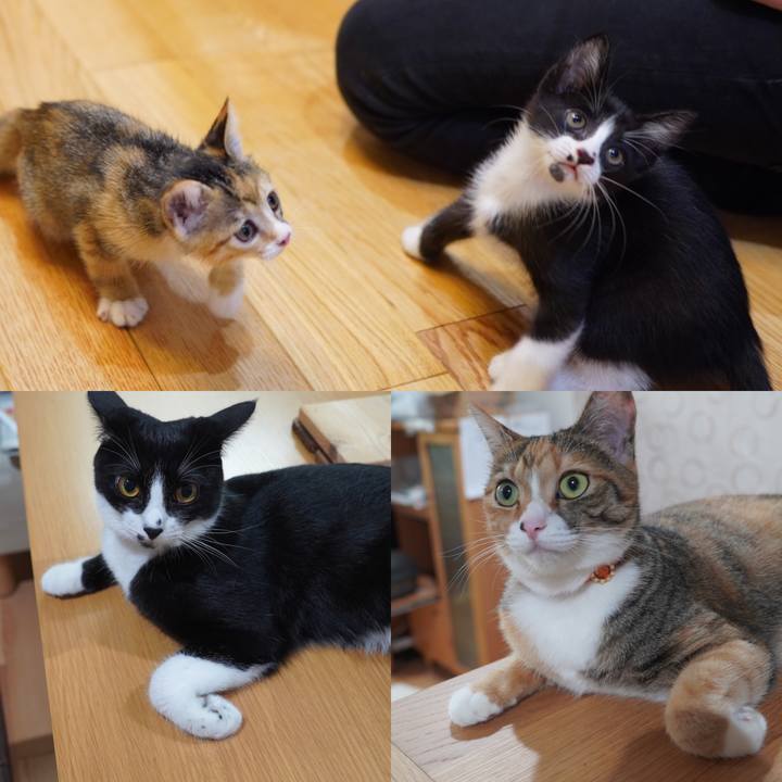 D7523925 f946 4c47 9fb7 c713d53df65e 1598829349648