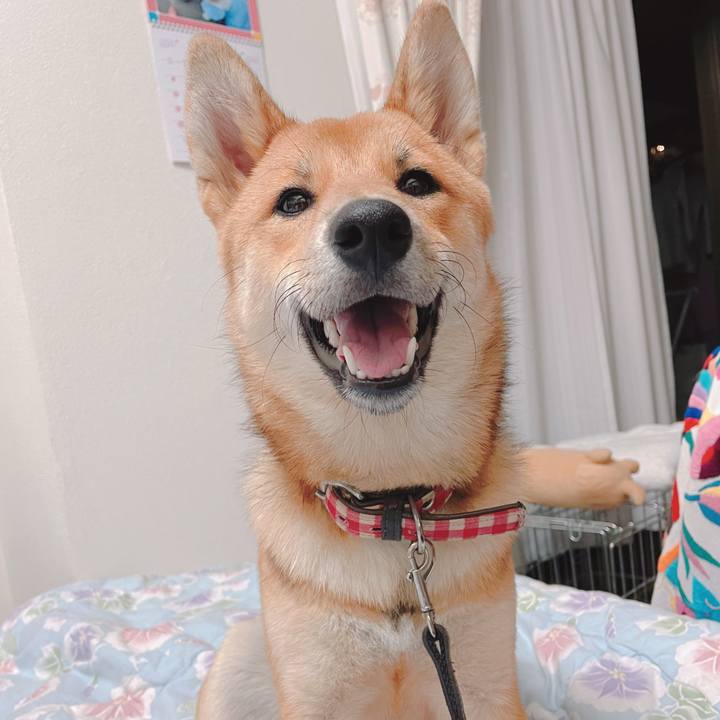 D752423a 93ae 4bd6 a314 84938f98a225 1664184998029