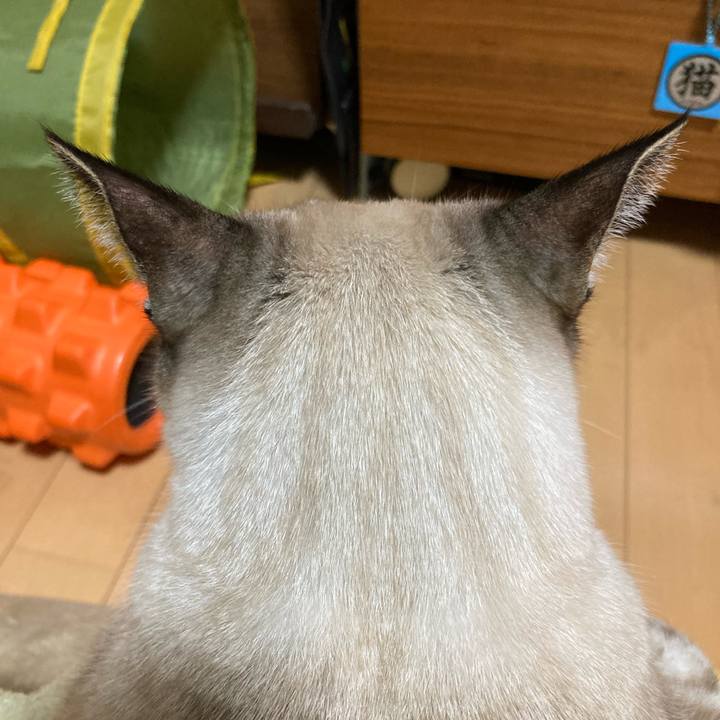 D752442f 0dd0 448c 9259 a1c1725c8c35 1768198154700