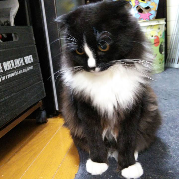 D75248c3 b145 4e18 86d8 349f7362332d 1651410390443