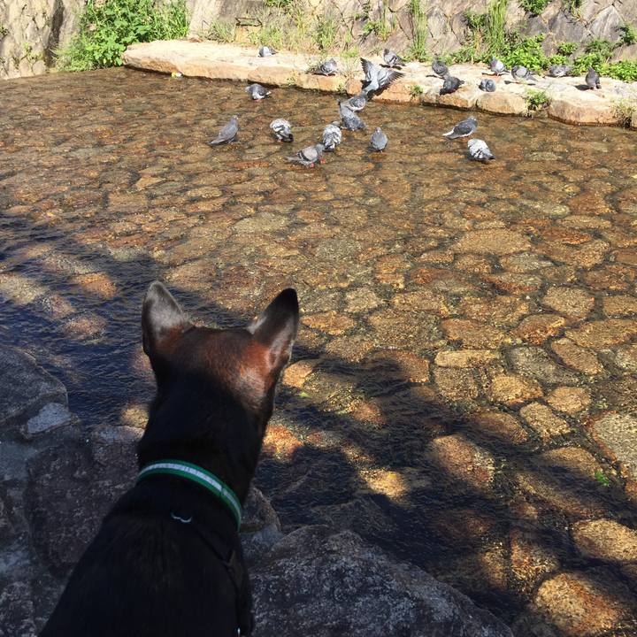 D752974d 8f41 4dac a5eb 12b73f3c6222 1538106159878