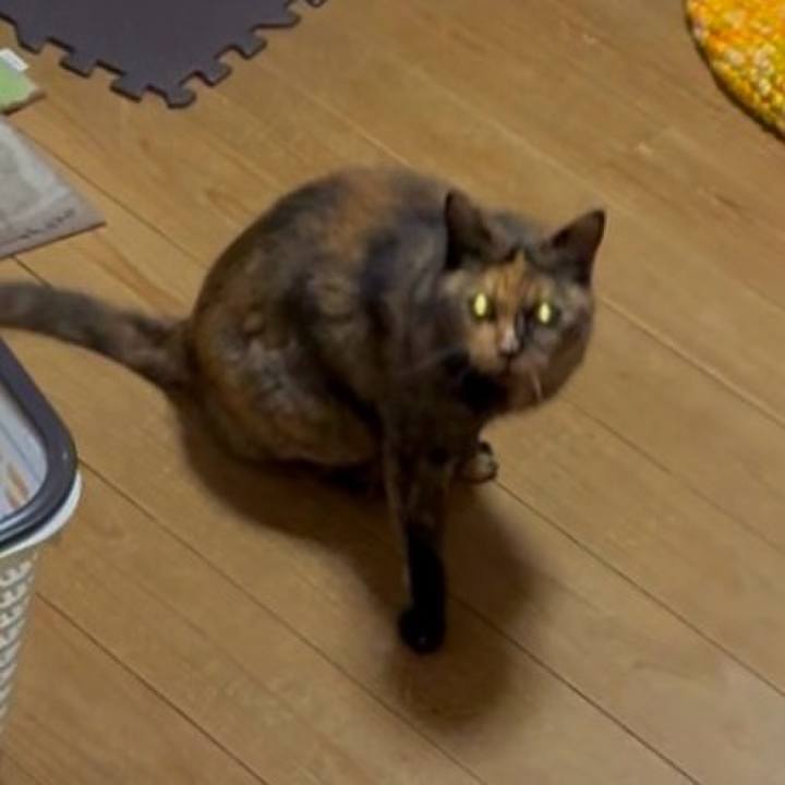 D752b5b5 3012 4927 915f 8819676f26e1 1758745693182