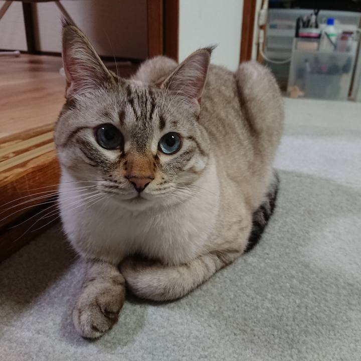 D752d271 b57a 4be6 b488 430d3874f31a 1570872358111