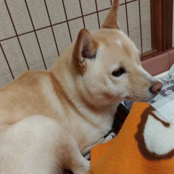 D752ff27 1795 4db1 87ce 2f7091239cf8 1541072363736