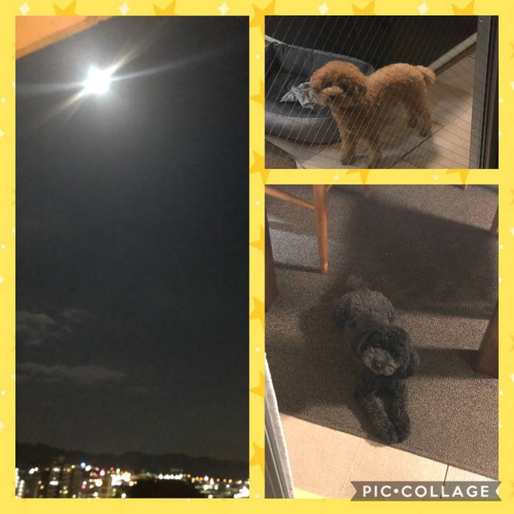 D75346cb 1f7e 4aaa bb58 8b99047857c0 1601566182734