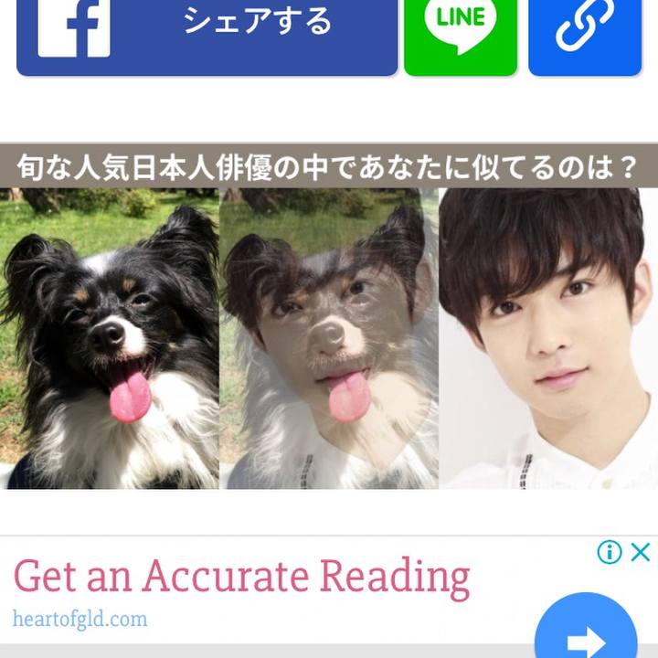 D753738a 6e49 4db6 bb98 9e08d6c6cd82 1528455793599