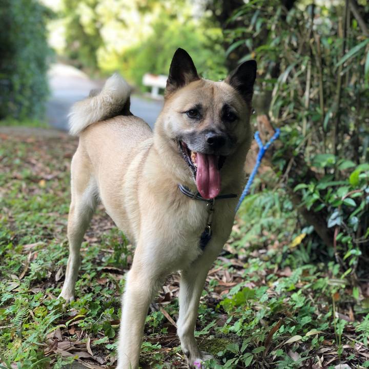 D753841b 3e6e 4f6c be62 e8531fc4cece 1592309735788