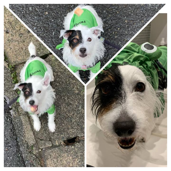 D7539e50 49ee 4d59 8bb5 1030a917171c 1657843674410