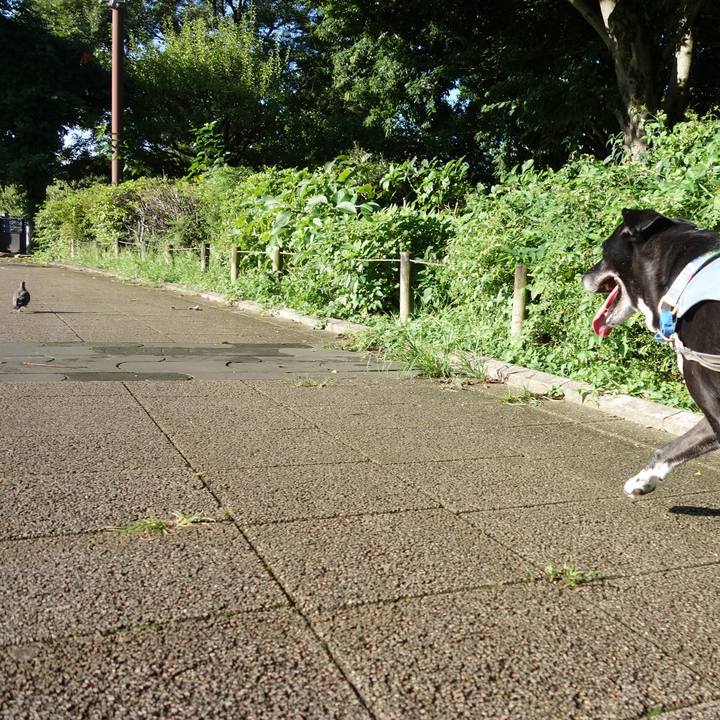 D753a368 c8e1 496a 9648 c9c92daa61c4 1725239388062