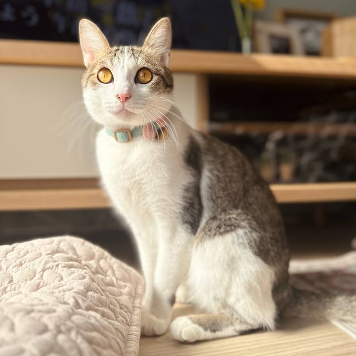 D753c449 d711 4c22 82cc 01c5bf8faf6f 1769312618866