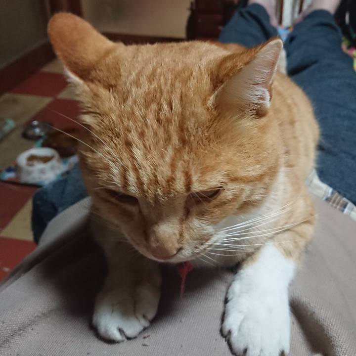 D753e60d 6ffe 4d1f b5e0 71e73eea9e86 1575110335549