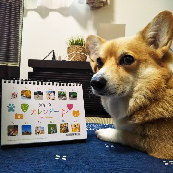 D754028f 5935 4527 a4d3 d840c3922391 1575085156808