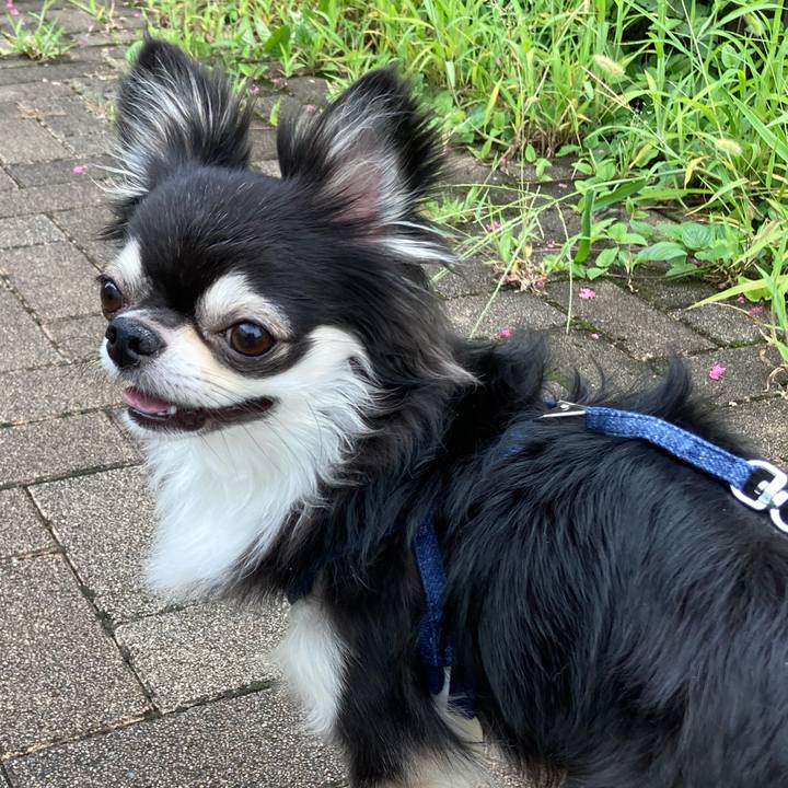 D75415ef 7036 468b 91f6 9f3bf595f778 1661076893510