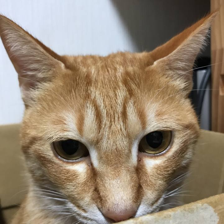 D7542ba1 0292 4089 846d 88b2437fb688 1519217628572