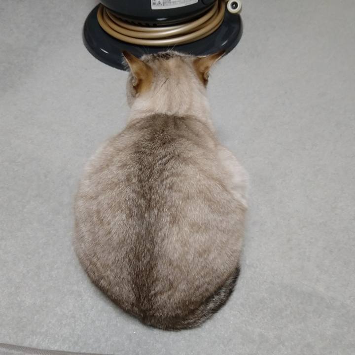 D7543a9d f2e8 4517 97f0 a2d8431c91d0 1636454352164