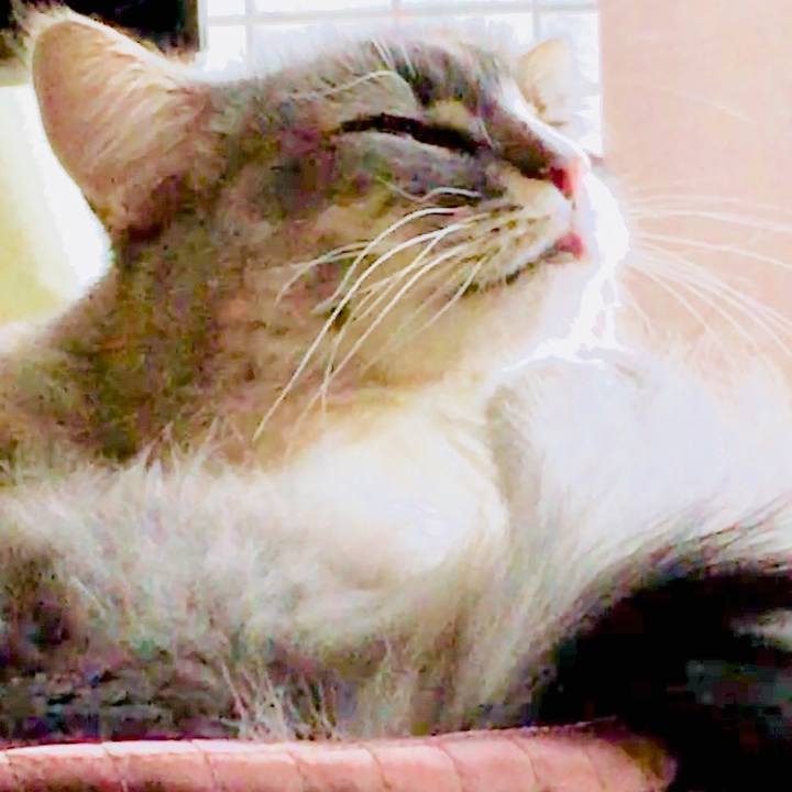 D7543ecd e45d 44e0 b46e 93b28d3f3c5b 1512521189321