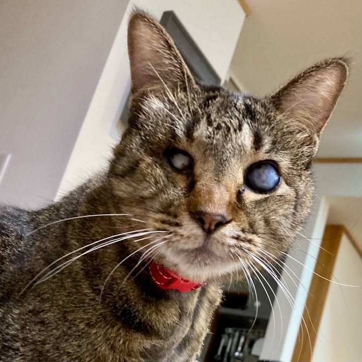 D75491d1 a281 463a 979e 7044399794dc 1634899491891