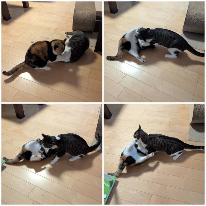 D7549500 ac7f 48fb b7cd 99f8a142144a 1765170146168