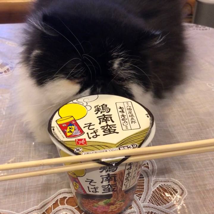 D754a386 a609 4c4e 826c a50097a0842b 1544892523598