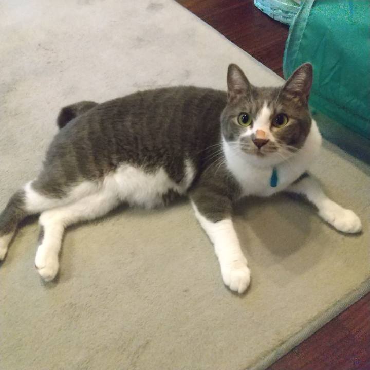 D754b893 c2ab 49a6 b7cc e5d294aac4ea 1631483062013