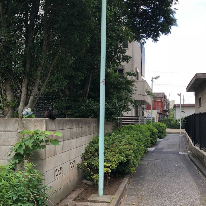 D754e00d 682e 4e32 9cc8 828e29539bb4 1526890913481