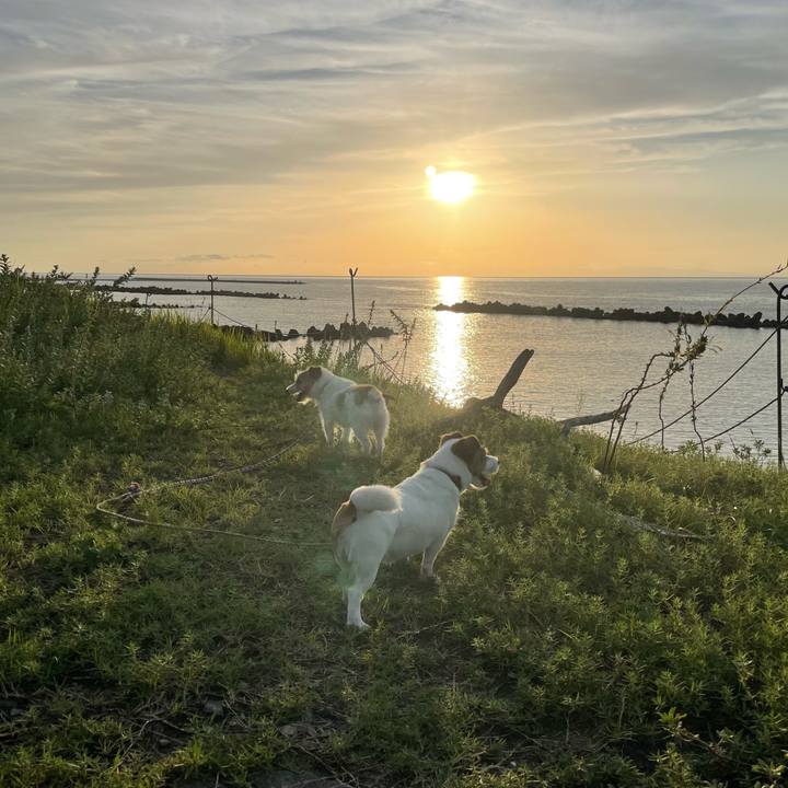 D755168a ee8c 40c3 9dd7 0a75357e19d7 1757322386009