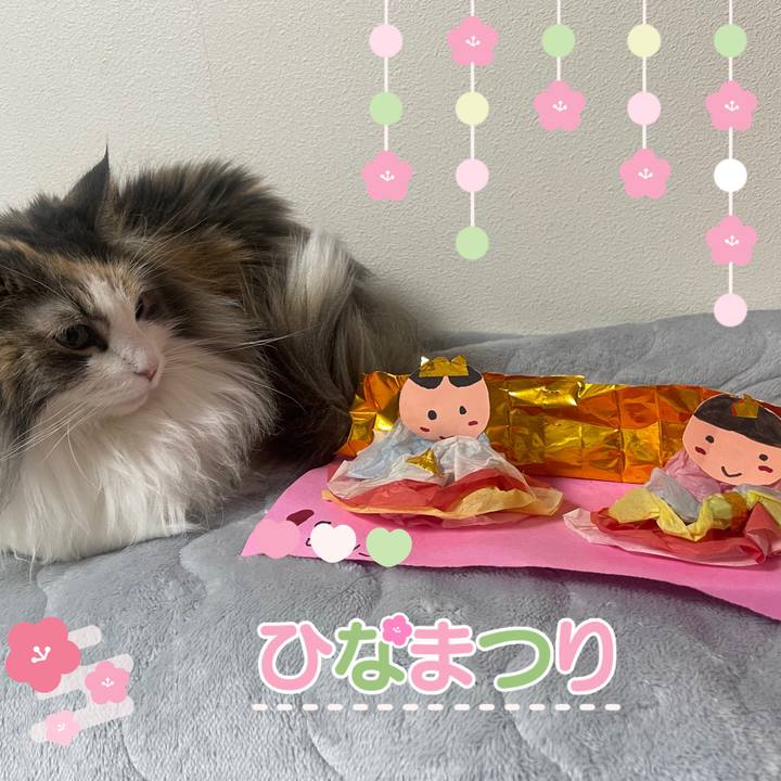 D7551ec1 7063 45a1 b9e9 4567928f04cc 1741002167390