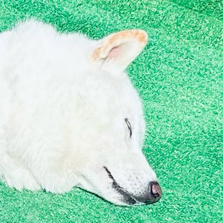 D755d63d d924 4347 a4a1 9f47d9635781 1757712514303