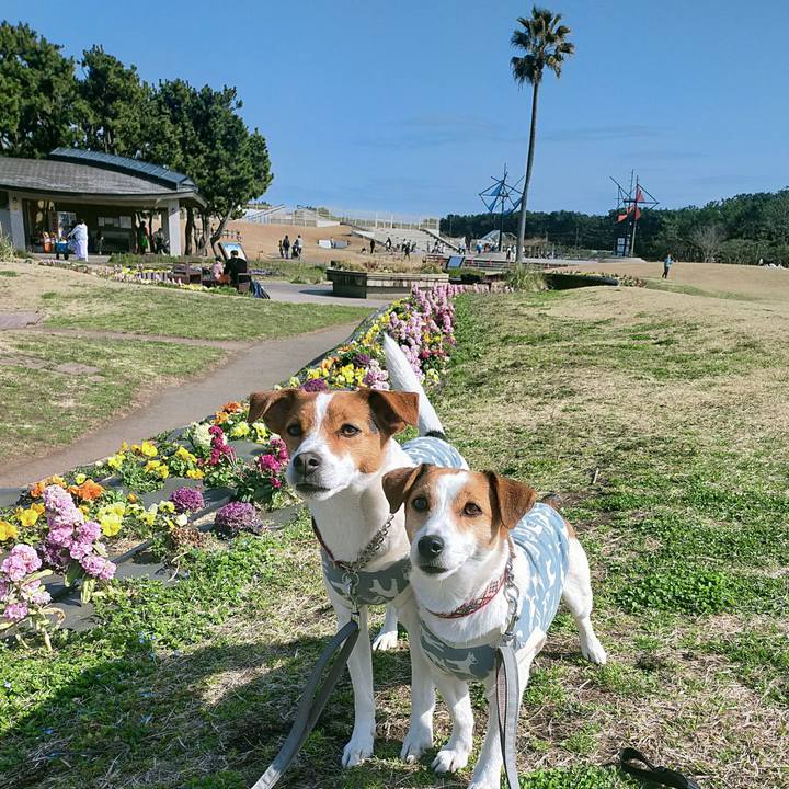 D755da3d 5ab6 489a 94a7 12b978818a3b 1772354367025