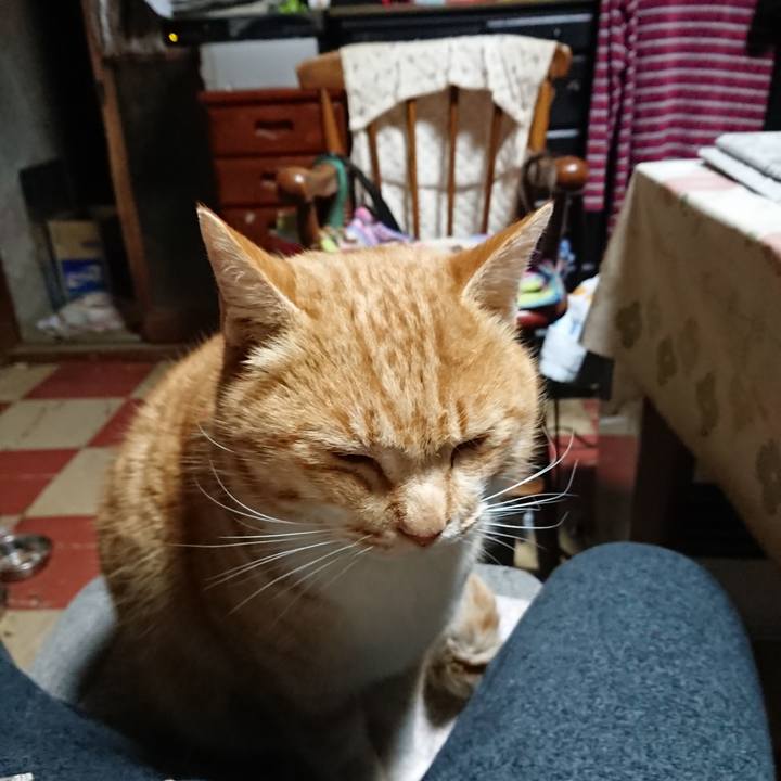 D755fce0 1a3c 49e5 a8b2 dd6a5985fc36 1578945148233