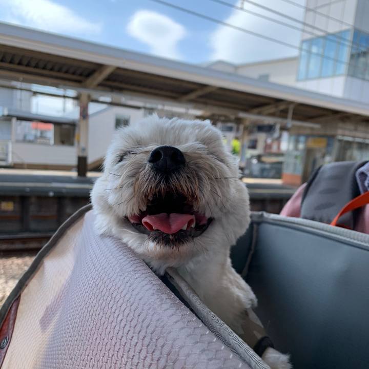 D7560150 90d3 4bb8 bb70 0dc723339f59 1682924223056