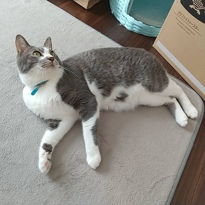 D7565013 7f1f 4c35 a103 f24bb031bb1d 1639794740526