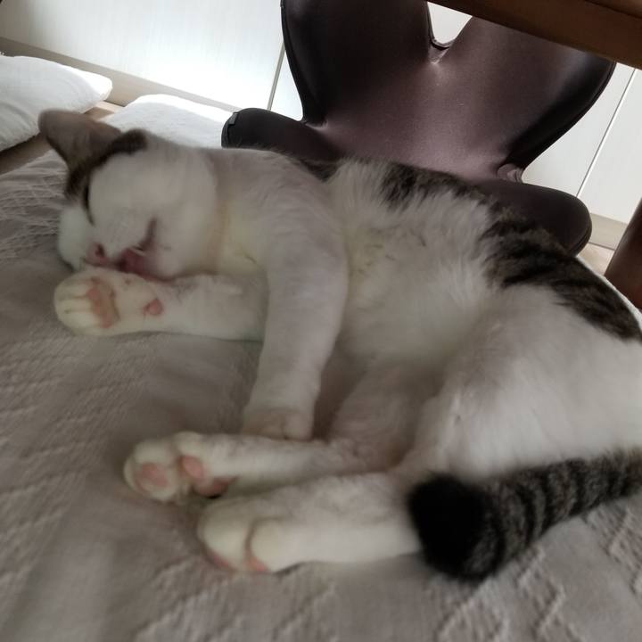 D756554a f160 486a aab3 6f267e7b97b1 1599687550524