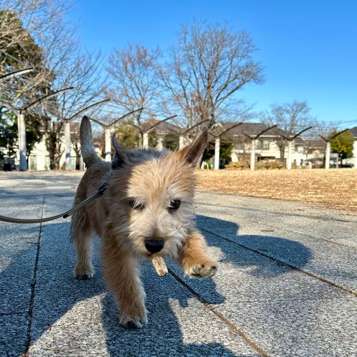 D75676cb 5b3f 4454 a281 10406c2777d8 1706541538158