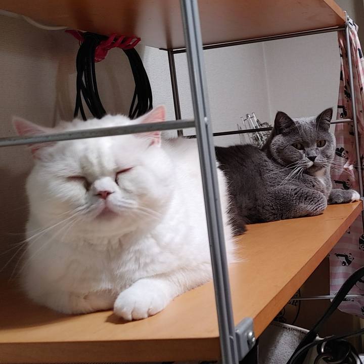 D756990c fd96 4621 9a59 38809337d779 1628077331362