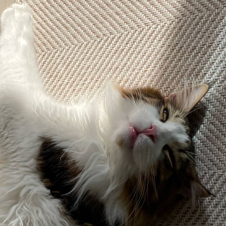 D756e9ea 13a8 45ff 94af b53e7da3a04c 1651905419185