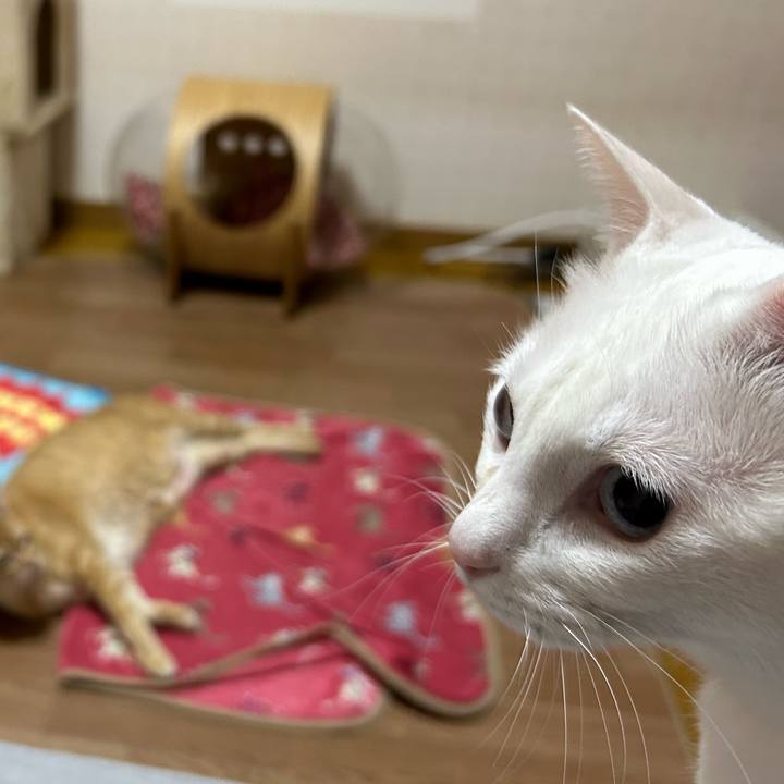 D756ec9e 2bc5 4d2d 9e16 a8f00d002cbd 1672822336634