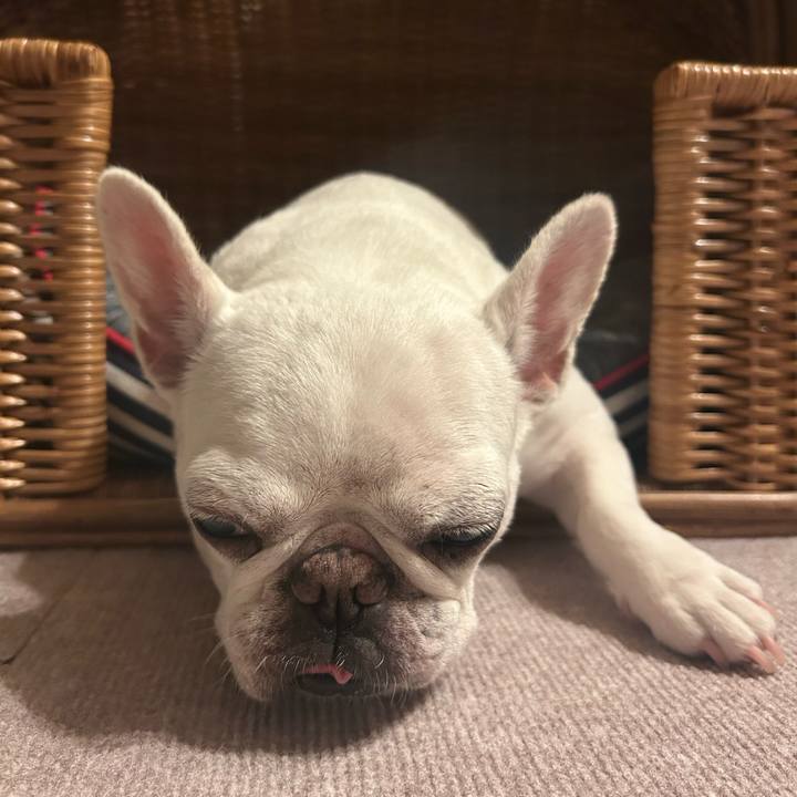 D7570f5e ed55 491b 8d2f fcf942ed6ebc 1754918852151