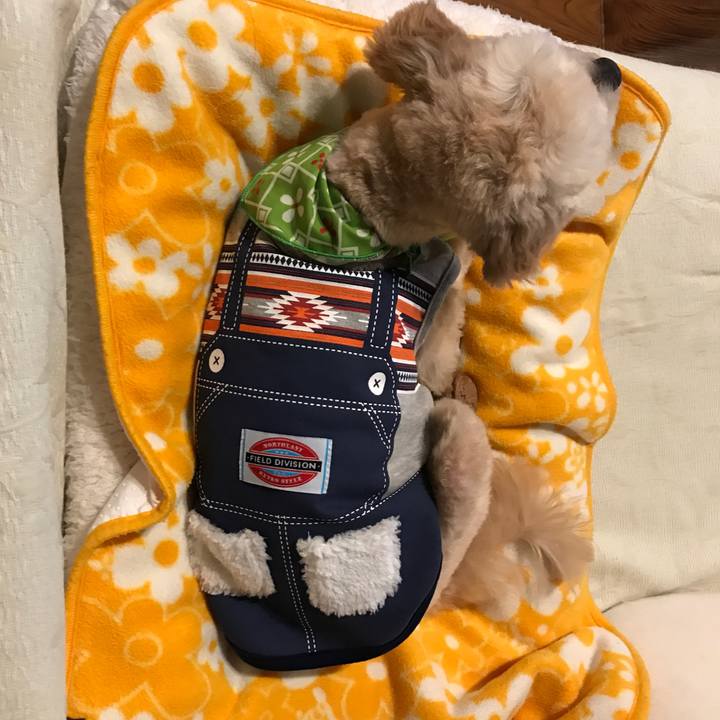 D7573803 3d0c 4159 86f8 398c763ef6f4 1516485120266