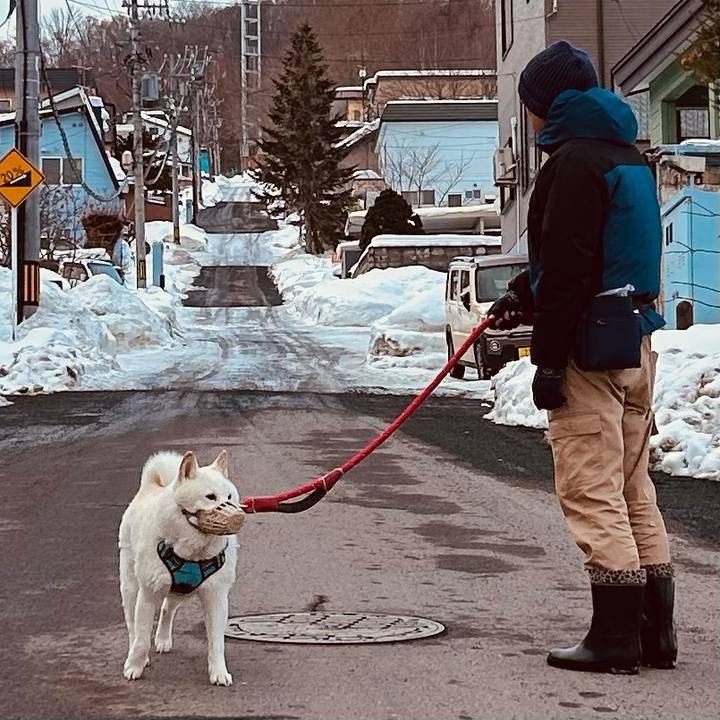 D7573c58 5622 4187 9ccc c54ccda0eafb 1737767335683