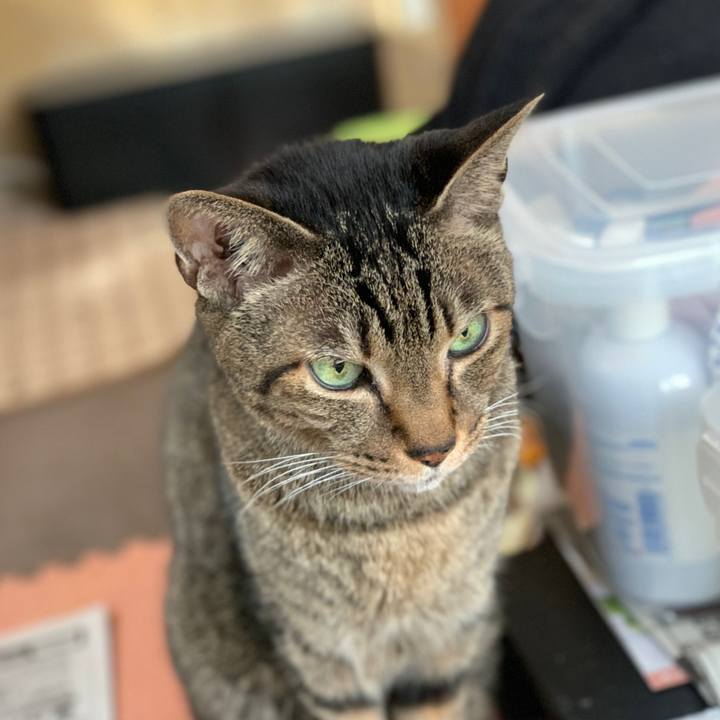 D7574843 64c2 4356 8acb 5a5ec4a91df4 1584147079793