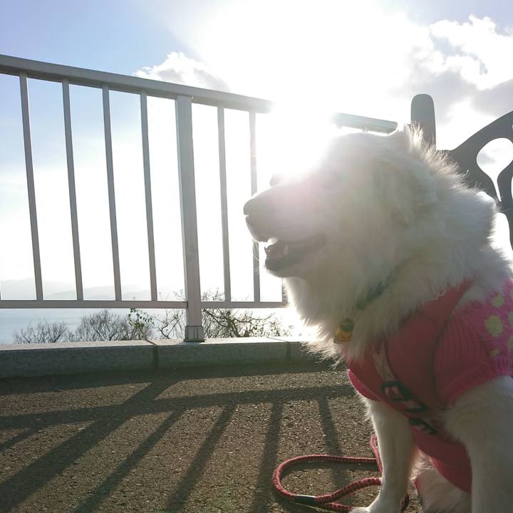 D757518f 263f 4b83 a318 153eae547b31 1547187837228