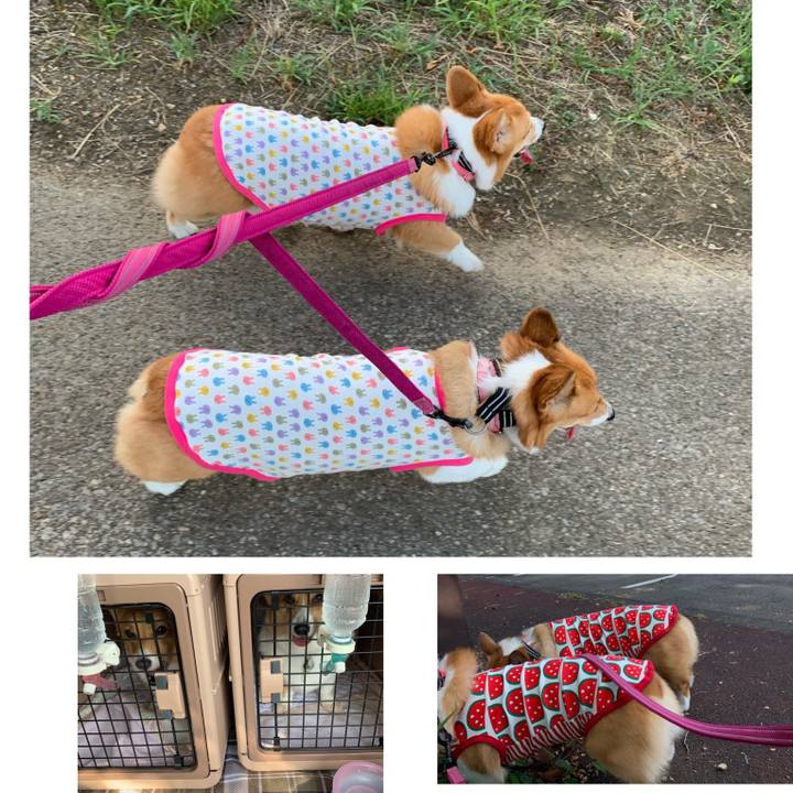 D757a50b 3df7 4df6 b485 cebc96efec11 1565396594742