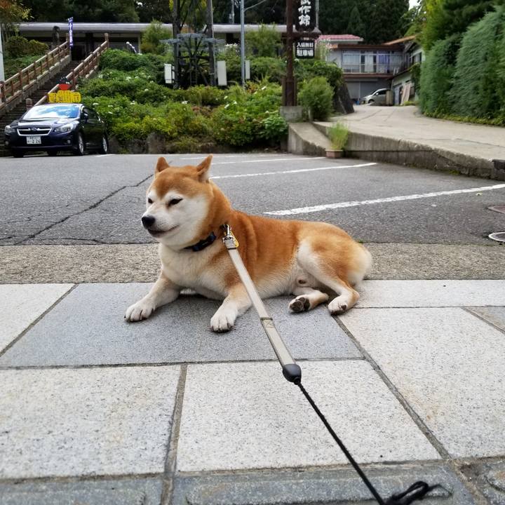 D757e35c 26b1 49de 979b 1f2558100afc 1570171134372