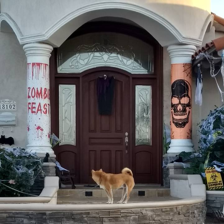 D757e8e5 1002 4d2e 9cb1 ba98e14c9946 1509423667244