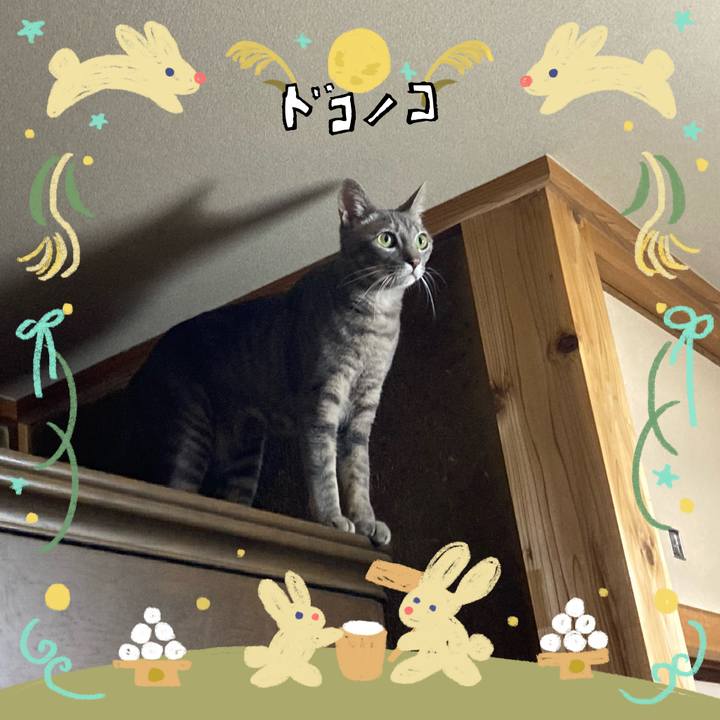 D75800ec a19c 457a 8132 c176e3361c4b 1726997012501