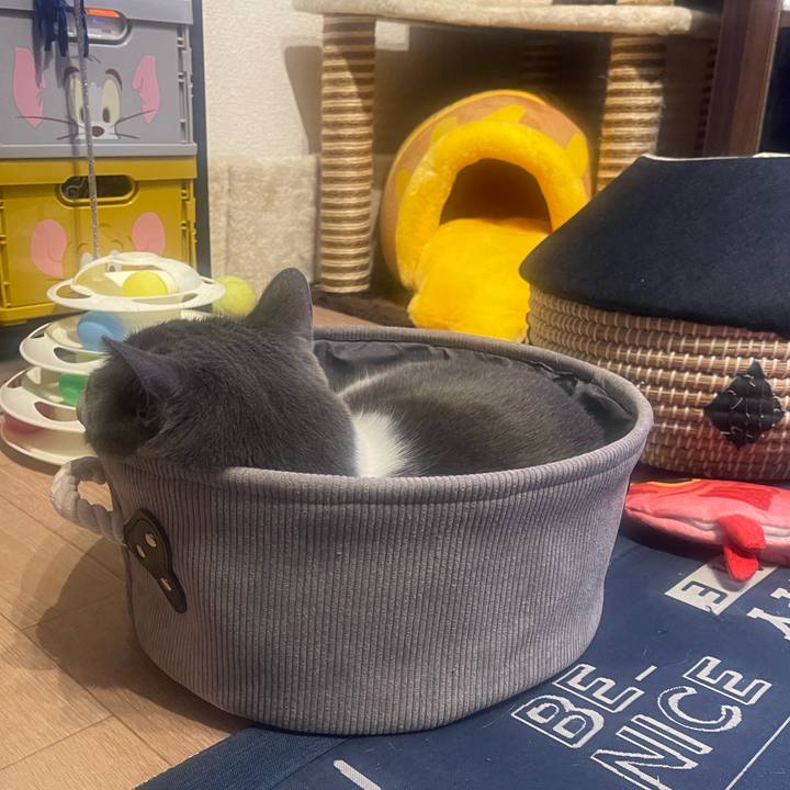 D75807af 1309 4d39 aa72 5c9418184dba 1723983376566