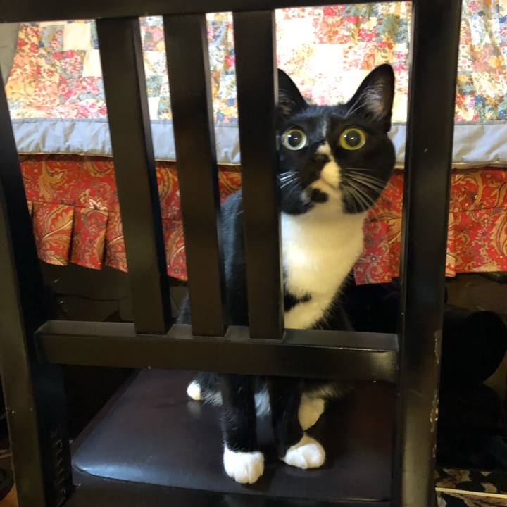 D758248a e6bd 4f0a a328 60744d0cffe5 1512684516505